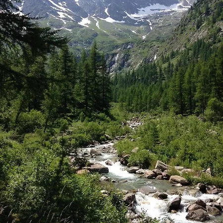 Chalet Del Frassino